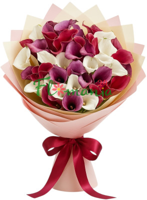 Букет из 39 разноцветных калл